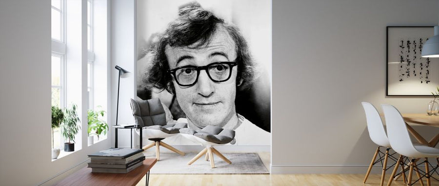 PHOTOWALL / Woody Allen in Love and Death (e314732)