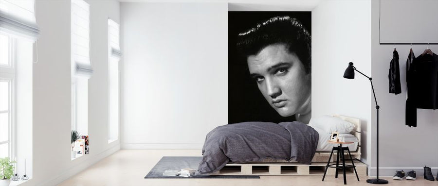 PHOTOWALL / Elvis Presley (e314765)