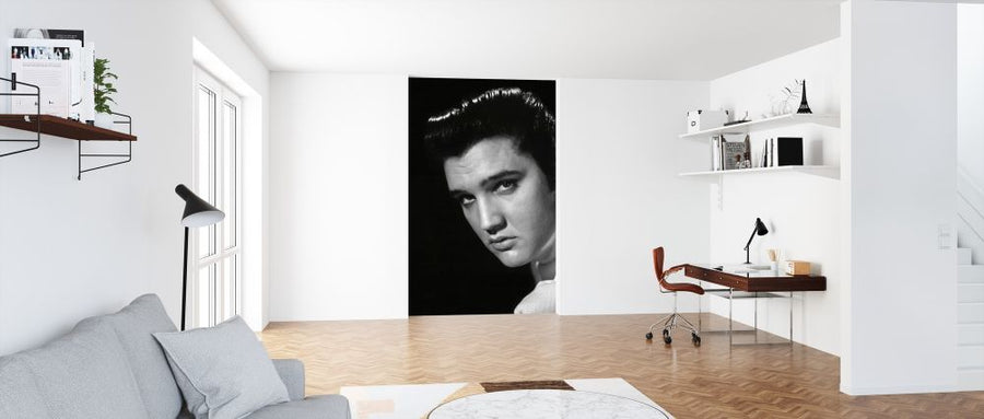 PHOTOWALL / Elvis Presley (e314765)