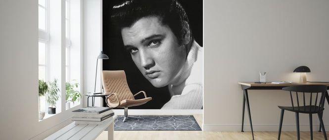 PHOTOWALL / Elvis Presley (e314765)