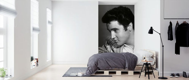 PHOTOWALL / Elvis Presley (e314766)