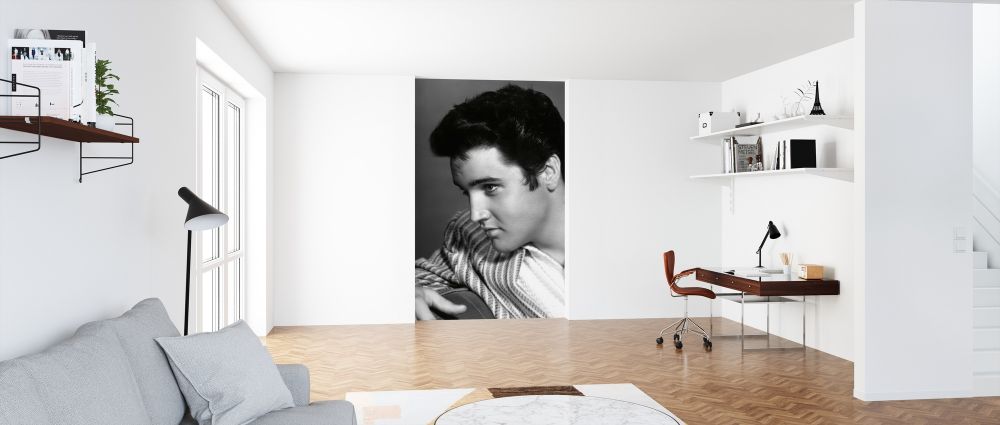 絵画『エルヴィス・プレスリー(カラー)』ヘイ平山画 絵画『エルヴィス・プレスリー(カラー)』ヘイ平山画