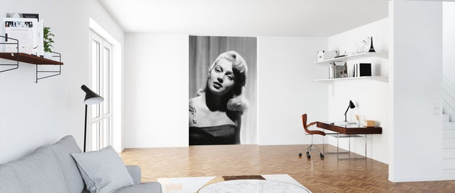 PHOTOWALL / Lana Turner (e314769)