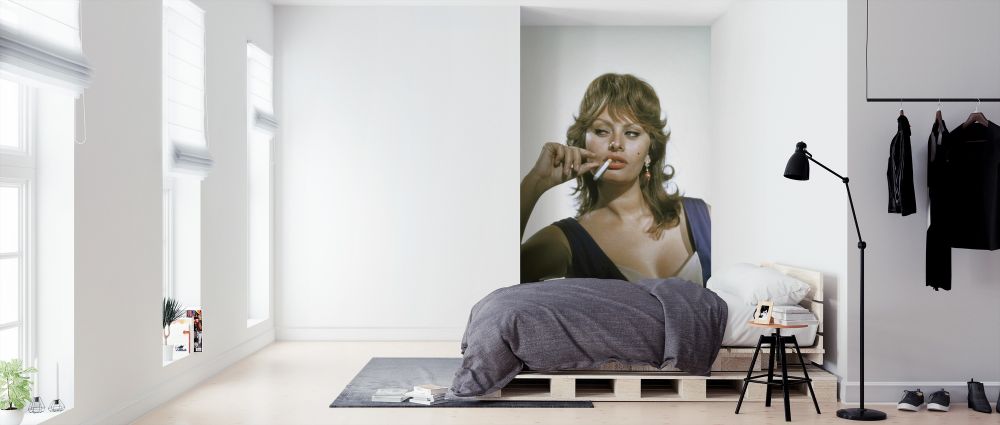 レア‼︎ SOPHIA LOREN ハリウッドスター SPレコード 蓄音機 レア‼︎ SOPHIA LOREN ハリウッドスター SPレコード 蓄音機
