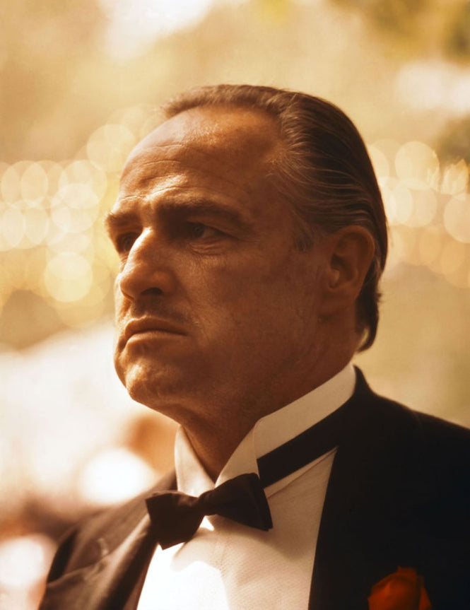 PHOTOWALL / Marlon Brando in the Godfather (e314777)