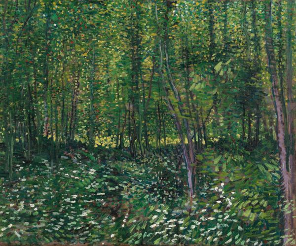 PHOTOWALL / Vincent Van Gogh - Trees and Undergrowth (e314806)
