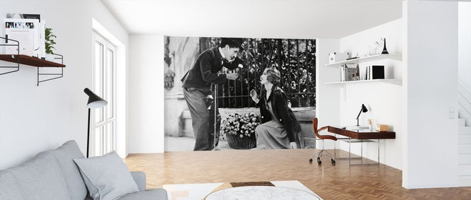 PHOTOWALL / Charlie Chaplin and Virginia Cherrill in City Lights (e314864)