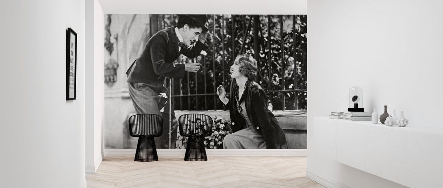 PHOTOWALL / Charlie Chaplin and Virginia Cherrill in City Lights (e314864)