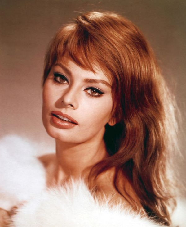 PHOTOWALL / Sophia Loren (e314867)