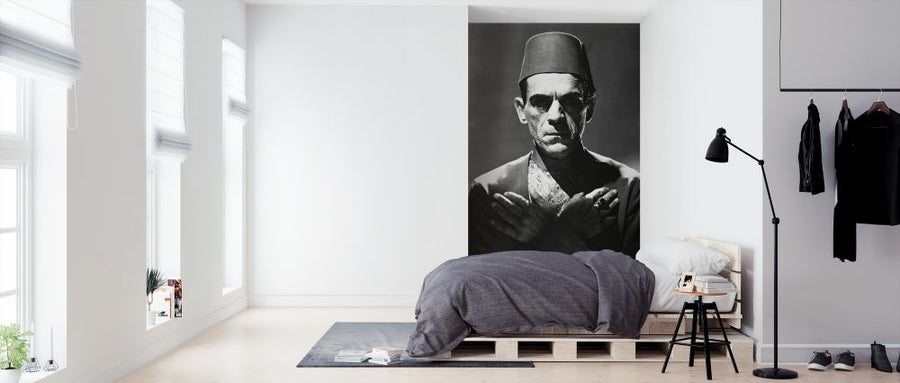 PHOTOWALL / Boris Karloff in the Mummy (e314892)