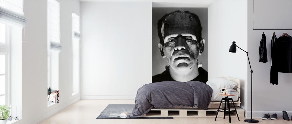 PHOTOWALL / Boris Karloff in the Bride of Frankenstein (e314893