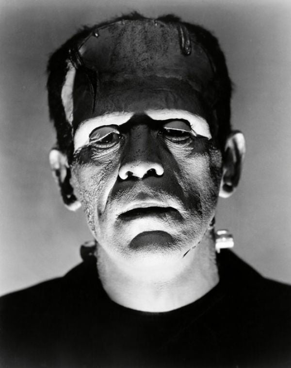 PHOTOWALL / Boris Karloff in the Bride of Frankenstein (e314893)
