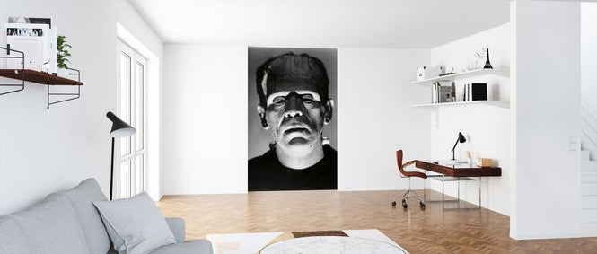 PHOTOWALL / Boris Karloff in the Bride of Frankenstein (e314893)