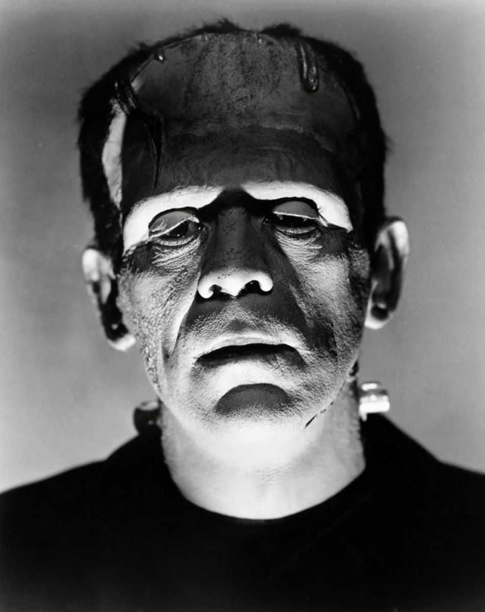 PHOTOWALL / Boris Karloff in the Bride of Frankenstein (e314893