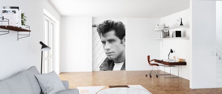 PHOTOWALL / John Travolta in Grease (e314907)