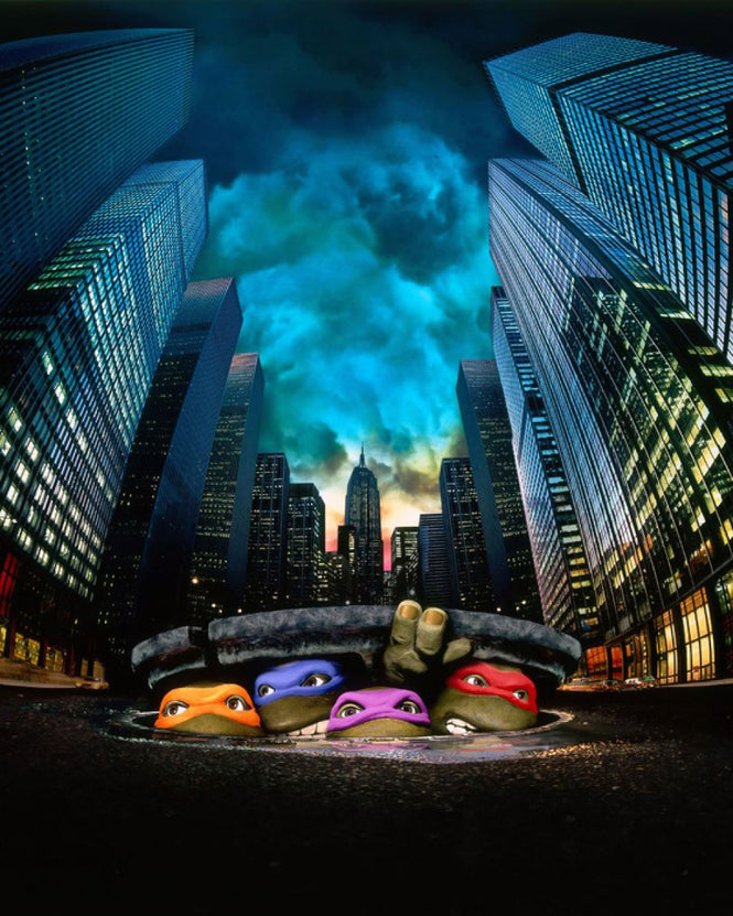 PHOTOWALL / Teenage Mutant Ninja Turtles (e314934)