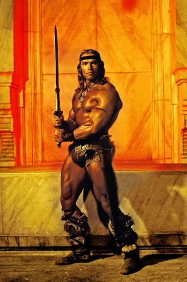PHOTOWALL / Arnold Schwarzenegger in Conan the Destroyer (e314969)