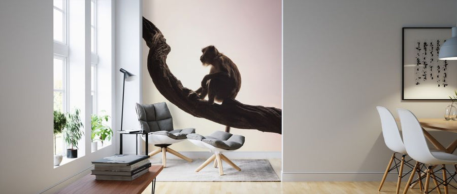 PHOTOWALL / Long Tailed Macaque (e314380)