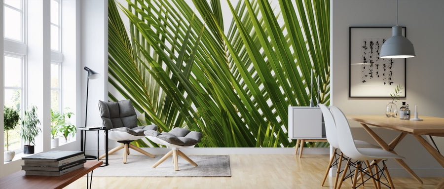 PHOTOWALL / Palm Leaf (e314682)