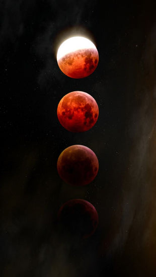 PHOTOWALL / Lunar Eclipse (e314693)