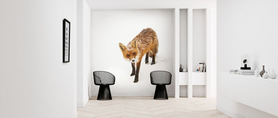 PHOTOWALL / Red Fox II (e315277)