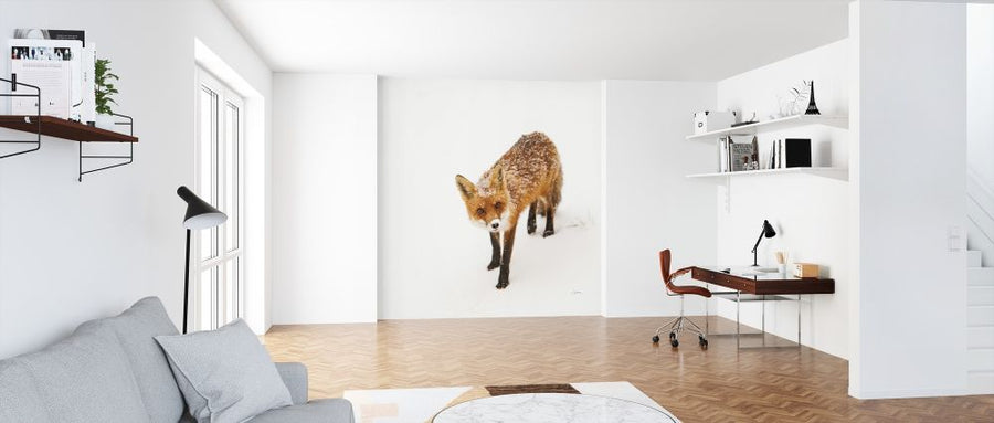 PHOTOWALL / Red Fox II (e315277)