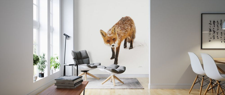 PHOTOWALL / Red Fox II (e315277)