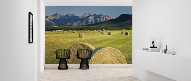PHOTOWALL / Waterton Hay Bales (e315280)