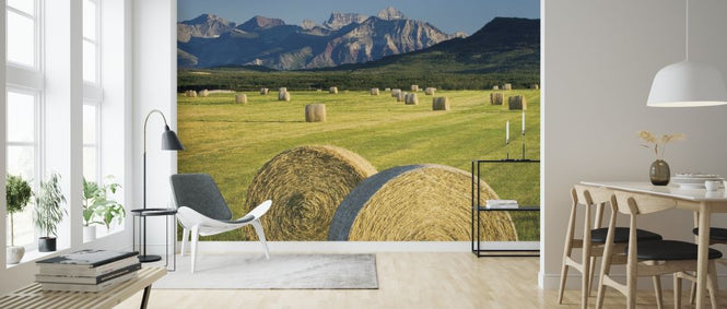 PHOTOWALL / Waterton Hay Bales (e315280)