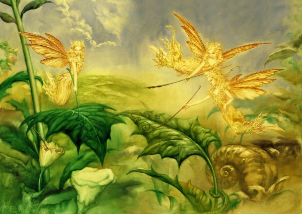 PHOTOWALL / Fairies (e315445)