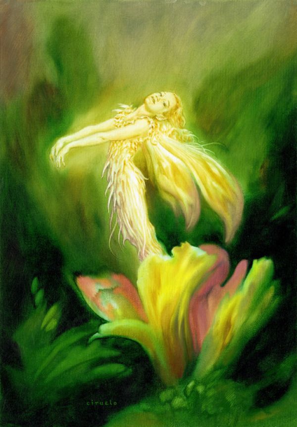 PHOTOWALL / Fairy Flower (e315446)