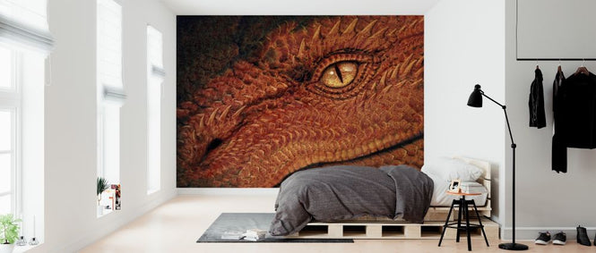 PHOTOWALL / Dragon Eye (e315465)