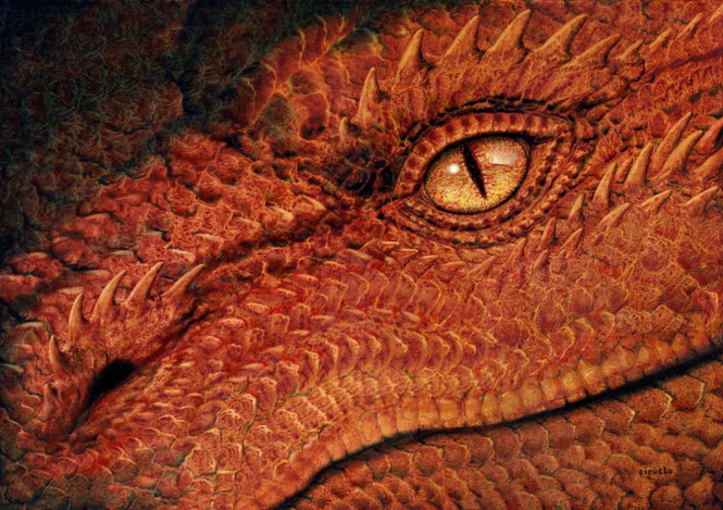PHOTOWALL / Dragon Eye (e315465)