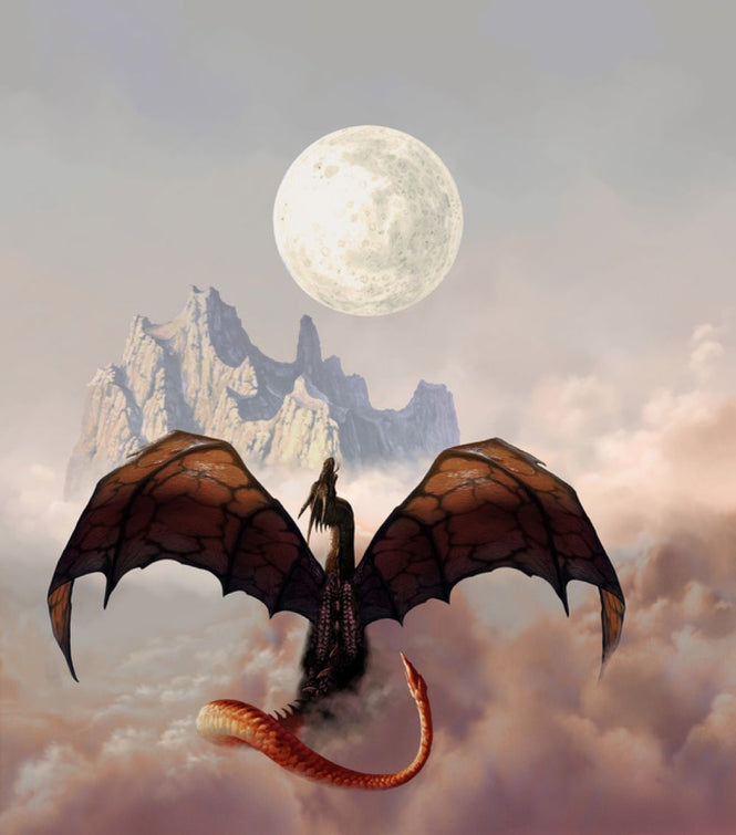 PHOTOWALL / Luna (e315523)