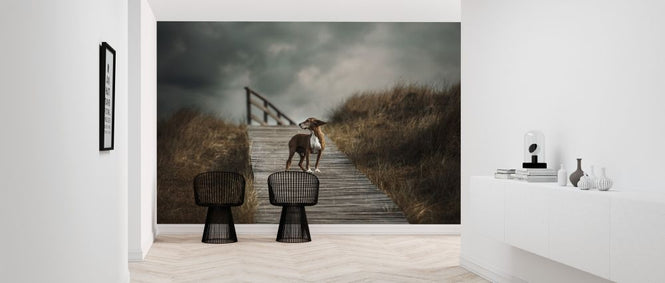 PHOTOWALL / Dog on Boardwalk (e315311)