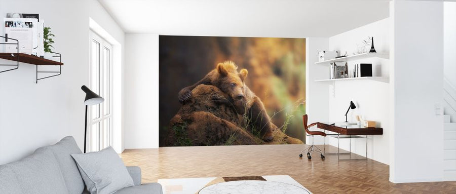 PHOTOWALL / Brown Bear (e315312)