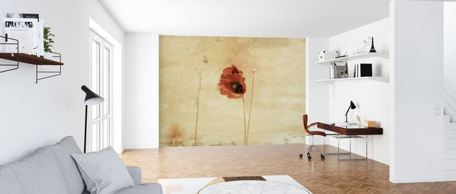 PHOTOWALL / Rose Wall Paiting (e315320)