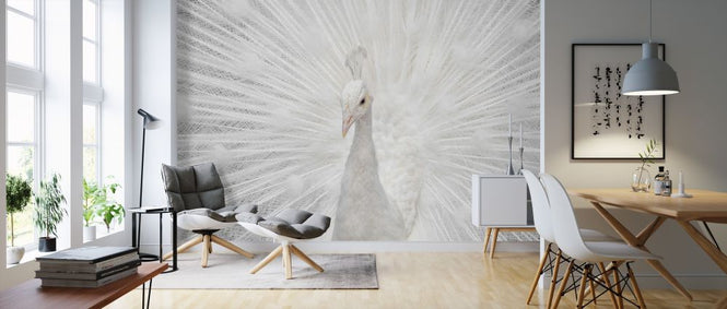 PHOTOWALL / Peafowl (e315321)