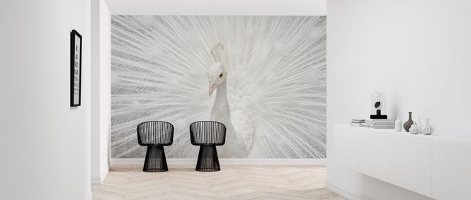 PHOTOWALL / Peafowl (e315321)