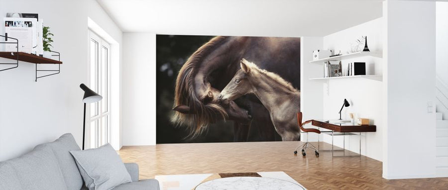 PHOTOWALL / Stallion (e315327)