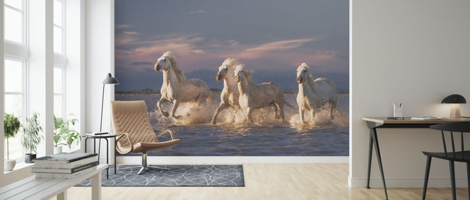PHOTOWALL / Angels of Camargue II (e315339)