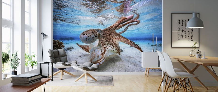 PHOTOWALL / Dancing Octopus (e315350)