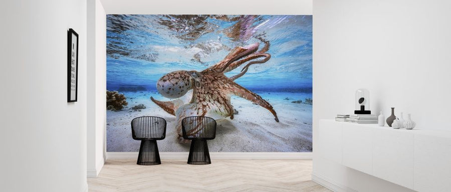 PHOTOWALL / Dancing Octopus (e315350)