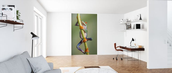PHOTOWALL / Ascending (e315355)