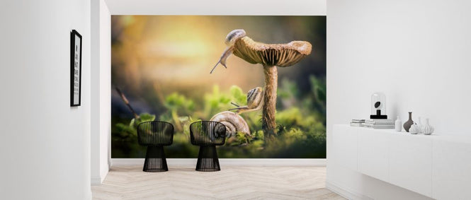 PHOTOWALL / Awakening of Snails (e315365)