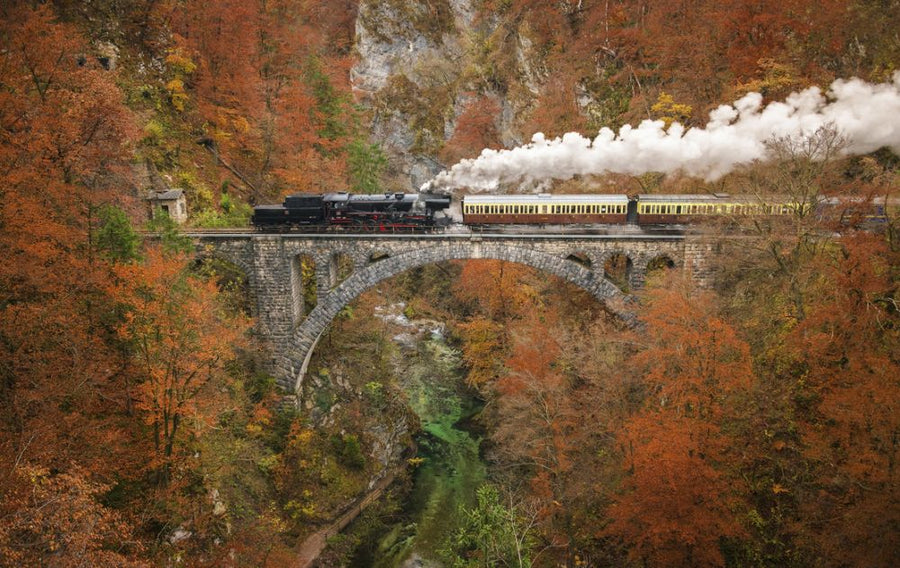 PHOTOWALL / Museum Train (e315367)