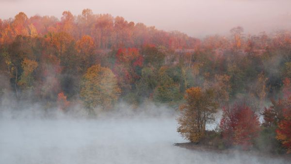PHOTOWALL / Fall Impression (e315368)