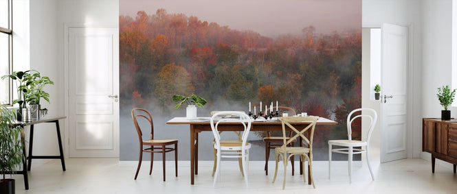PHOTOWALL / Fall Impression (e315368)
