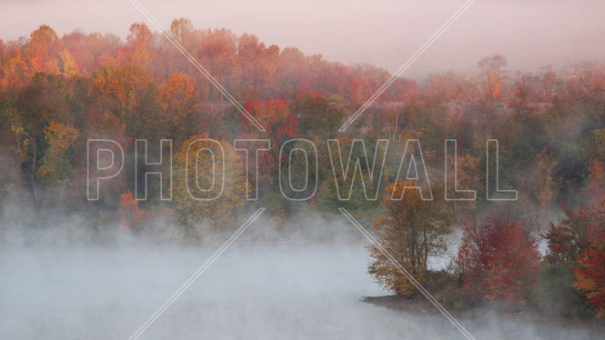 PHOTOWALL / Fall Impression (e315368)