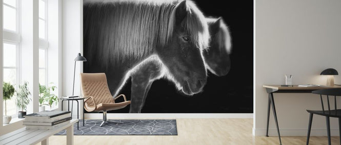 PHOTOWALL / Two Beautiful Horses (e315369)